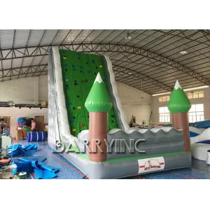 Jungle Green Kids Inflatable Climbing Wall For Amusement Inflatable Play Equipment
