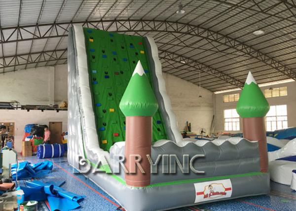 Jungle Green Kids Inflatable Climbing Wall For Amusement Inflatable Play