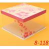 Disposable Clear/transparent Sandwich/cake Plastic Food Container/box/packaging