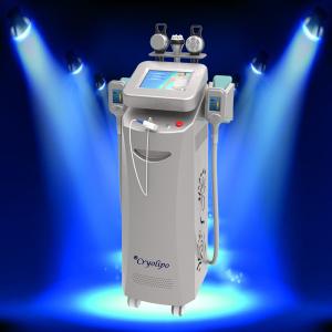 China High Quality Body Shape Ultrasound Whole Body Slimming Fat Reduction Cryolipolysis Machine supplier