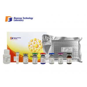 China Disposable 96 Wells Size Bovine ELISA Kits High Sensitivity And Specificity supplier