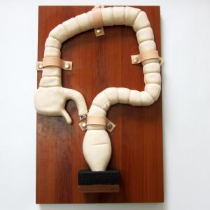 China Human Sigmoidoscope Training with Vivid Large Intestine Model and Life Size Simulator wholesale