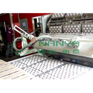 Recycle Paper Fruit Tray Strawberry Tray Egg Tray Making Machine