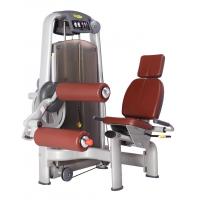 China Iron Fitness Gym Equipment Seated Leg Curl Machine OEM ODM on sale