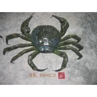 China Hairy Crab Resin Art Sculpture Spray Painted Outdoor Decoration on sale