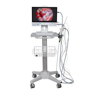 China Système de caméra d'endoscopie Full HD tout-en-un 15'' avec source de lumière LED intégrée pour les applications chirurgicales ORL et urologiques wholesale
