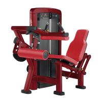 China Attractive Leg Curl Exercise Machine High Strength Foldable OEM Service on sale