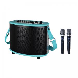 China Outdoor 1000 Watts Portable Karaoke Speaker Bluetooth USB Connection Guitar Input supplier
