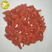 China Dried Super Grade Organic Goji Wolfberry red medlar Organic Natural Chinese wolfberry medlar High Quality on sale