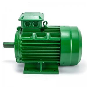 China 48v 4 pole 3 phase squirrel induction motor for elevator Single Phase Asynchronous Motor supplier