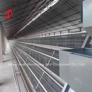 China Efficiency Layer Battery Cage Price In Nigeria Emily supplier