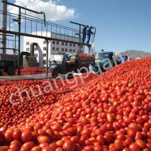 China manufacturer concentrated tomato paste production line