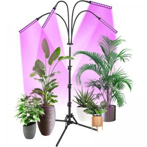 China FCC IP44 RED Blue Floor LED Plant Lamp Floor Grow Lamp For Indoor Plants supplier