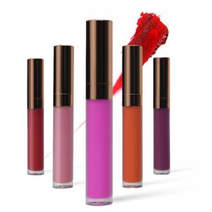 China Beautiful Lip Makeup Products Liquid Lip Gloss 20 Colors Waterproof 3 Years Warranty supplier