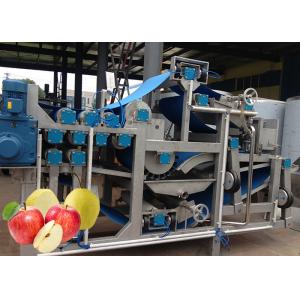 Safety SUS 304 Apple Processing Equipment  Apple Puree Processing Plant