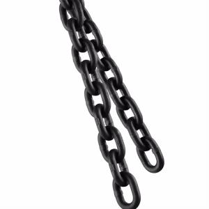 China Professional Lifting Chain for Safe and Precise Weight Lifting Applications supplier