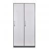 China Beach School Two Line Two Doors Powder Coated Steel Wardrobe wholesale