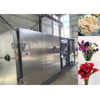 China Remote Control Food Vacuum Freeze Dryer Equipment on sale