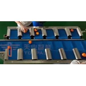 China PLC Multihead Weigher Packing Machine Speed Belt Scale For Fresh Orange supplier