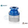 Cast Iron Body Flanged Non Return Foot Valve With Stainless Strainer PN10 Class