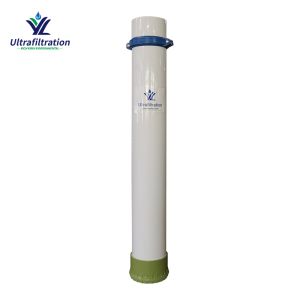 China Water Purification Plant Hollow Fiber PVDF Material 219 Replacement for Hydranautics wholesale