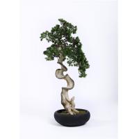 China Rejuvenating Pine Artificial Tree , Curved Chinese Bonsai Tree Environmental Protective on sale
