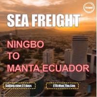 Expéditeur international FOB Ningbo de fret maritime de CNF au Manta Equateur