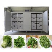 China 220V/380V Automatic Bean Sprout Machine 2kw Fodder Growing Systems on sale