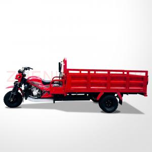 12V Voltage Cargo Adult Tricycle Motorized Three Wheel Cargo Motorcycle With Cargo Roof