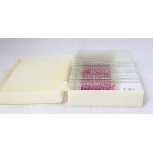 China Dog Kidney Sec. Prepared Microscope Slides 75.2×25.6×1.2mm With High Transmittance supplier