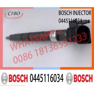 0 445 116 034 Injector Diesel 0445116057 0445 116 034 Fuel Injection 0445 116 057 0445116034 0 445 116 057 for VW