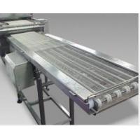 China                  Customize Food Grade Conveyor, Plastic Table Top Chain Conveyor, Top Chain Plate Food Standard Conveyor              on sale