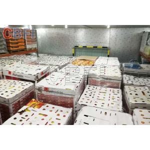 China Low Temperature Big Cold Room Project Cheese Frozen Food Storage Cold Room Freezer supplier