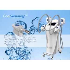 China Mobile Slim Freeze Fat Freeze Slimming Machine With 8 Inch Color Touch Screen supplier