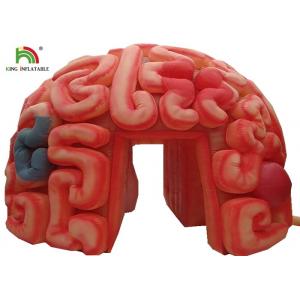China Giant 4m  Inflatable Brain Replica Artificial Organs For Educational SGS EN71 supplier