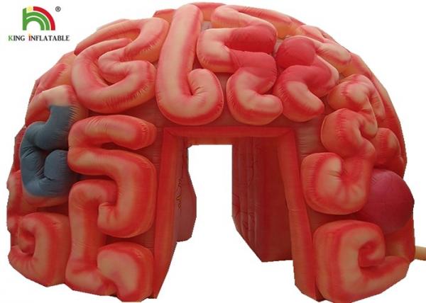 Giant 4m Inflatable Brain Replica Artificial Organs For Educational SGS EN71