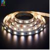 China DC12V/24V 300 LED Strip 5050 SMD Dual Color 2in1 5 Meter Wifi Control Addressable CCT IP20/IP68 wholesale