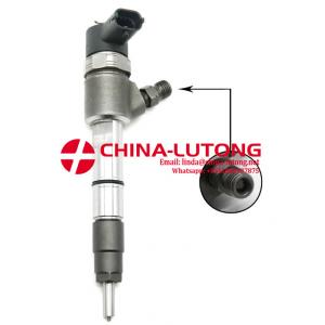 China Truck Fuel Injectors for sale 0 445 110 317 common rail fuel injection in diesel engines supplier