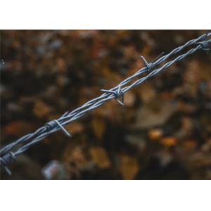 Yard Protection Galvanized Steel Barbed Wire 15mm 14*16 Gauge