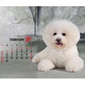 Animal Calendar Printing, Kraft paper calendar, pop up calendar supplier, Beijing Printing company