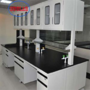 China OEM customized Full Steel Structure Acid Alkali Resistance Chemical Laboratory Workstation Price supplier