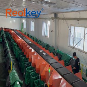 China Highly Automation  Crossbelt Sorter Package Sorting System Precise Sorting Solutions wholesale