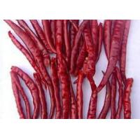 China 30000SHU Chinese Dried Chili Peppers Pungent Red Chili Pods Hot Tasty on sale