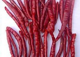 China 30000SHU Chinese Dried Chili Peppers Pungent Red Chili Pods Hot Tasty on sale 