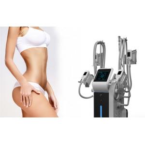 China 2018 latest Cryolipolysi Cool Shape machine Fat loss Cryolipolysis fat freezing machine Germany supplier