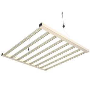 China Home Plant LED Grow Light PPFD Nível ajustável com Dimmer Knob supplier