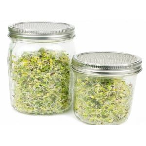 304 Stainless Steel Round Mason Jar Sprouting Lid with Non Rusting Metal Screen for Seed Sprouting
