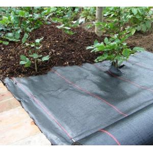China 100gsm Flower Bed Weed control Matting wholesale