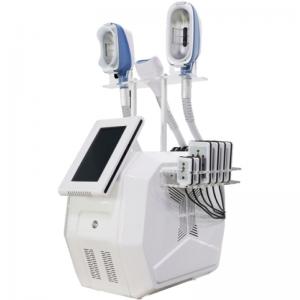 Fat Freezing 360 Cryo Cellulite Reduction Facial Cryolipolysis Slimming Machine