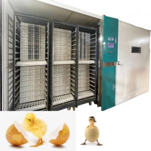 China Hatching Rate 98% Large Scale Automatic Chicken Egg Incubator 19200 supplier